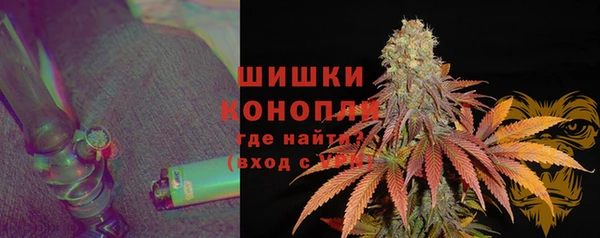 крисы Армянск