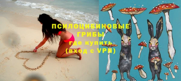 крисы Армянск