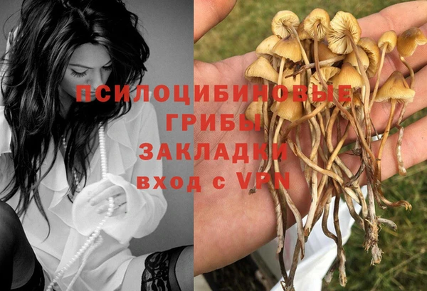 mix Аркадак