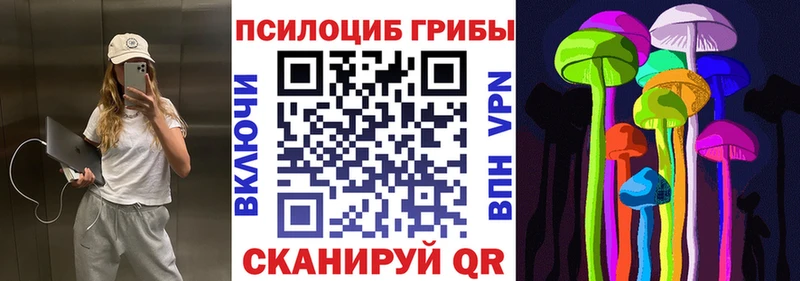 наркота Новомосковск Галлюциногенные грибы GOLDEN TEACHER